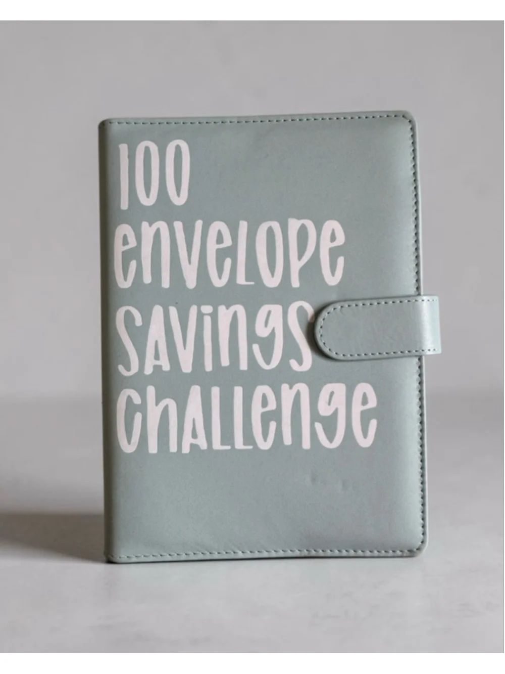Light Green 100 Envelope Savings Challenge Planner Binder - Brand New